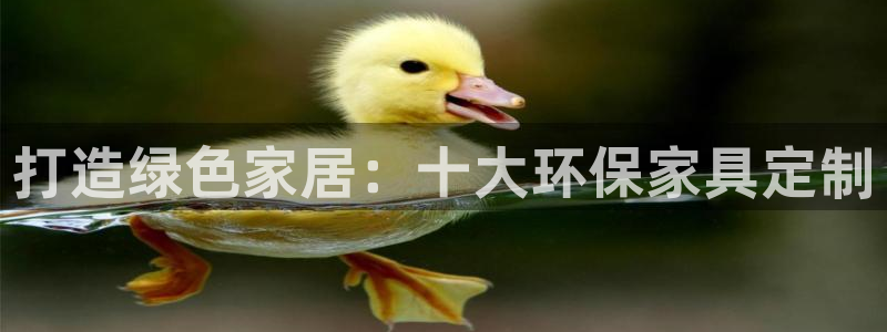 杏耀平台官方网站：打造绿色家居：十大环保家具定制