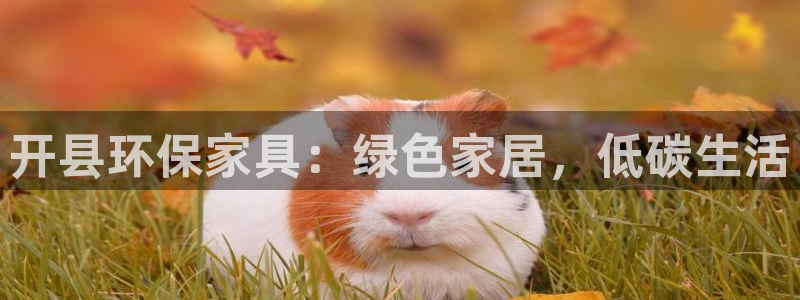 杏耀平台怎样