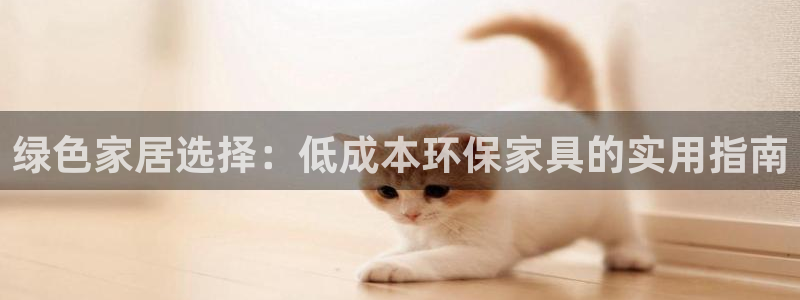 杏耀代理登录中心：绿色家居选择：低成本环保家具的实用指南