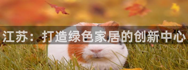杏耀平台已7O777：江苏：打造绿色家居的创新中心