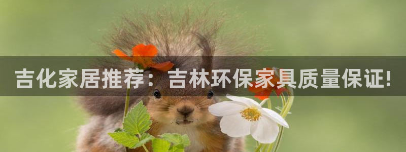 杏耀代理连接