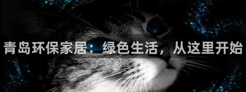杏耀平台在线注册：青岛环保家居：绿色生活，从这里开始