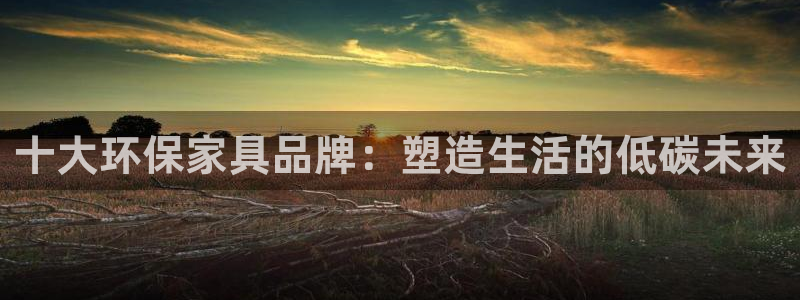 杏耀平台没有了：十大环保家具品牌：塑造生活的低碳未来