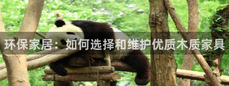 杏耀平台登陆官网：环保家居：如何选择和维护优质木质家具
