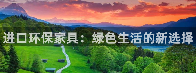 杏耀注册线路：进口环保家具：绿色生活的新选择