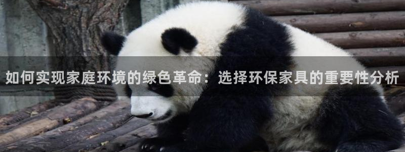 杏耀代理连接