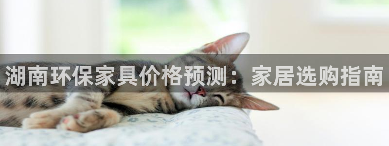 杏耀平台注册问一问：湖南环保家具价格预测：家居选购指南