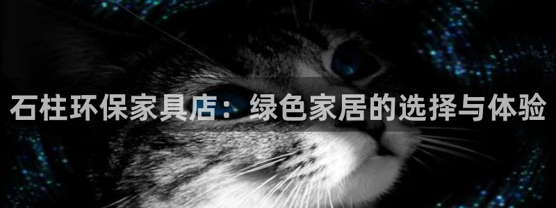 杏耀平台手机登录：石柱环保家具店：绿色家居的选择与体验