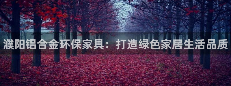杏耀注册代理：濮阳铝合金环保家具：打造绿色家居生活品质