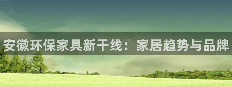 杏耀平台手机登录：安徽环保家具新干线：家居趋势与品牌