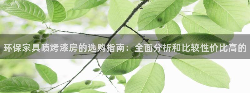 杏耀平台线路测速：环保家具喷烤漆房的选购指南：全面分析和比较