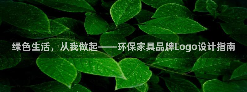 杏耀总代
