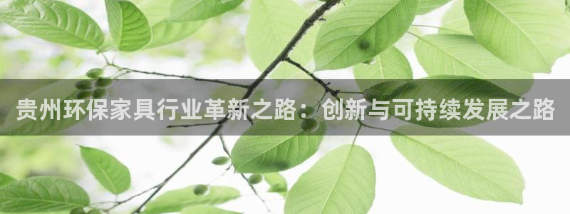 杏耀平台手机下载：贵州环保家具行业革新之路：创新与可持续发展