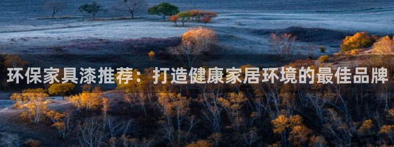 杏耀平台注册代理：环保家具漆推荐：打造健康家居环境的最佳品牌