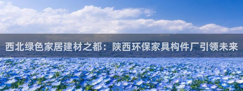 杏耀测速登录地址：西北绿色家居建材之都：陕西环保家具构件厂引