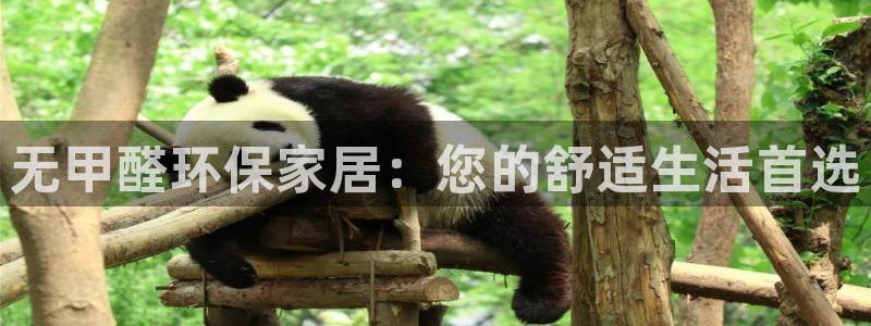 杏耀官方测速：无甲醛环保家居：您的舒适生活首选