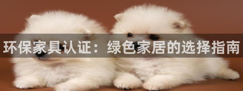 杏耀平台官方登录：环保家具认证：绿色家居的选择指南