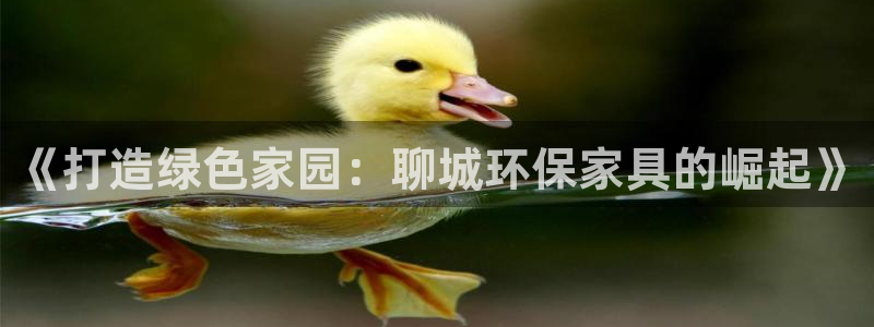 杏耀管网登录：《打造绿色家园：聊城环保家具的崛起》