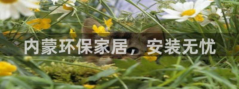 杏耀平台线路测速登录：内蒙环保家居，安装无忧