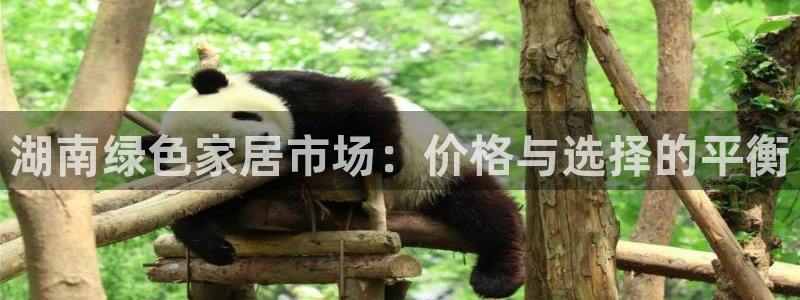 杏耀平台手机下载