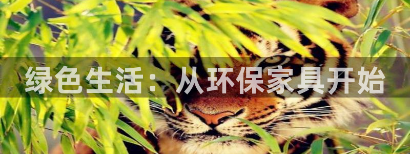 杏耀平台官网下载：绿色生活：从环保家具开始