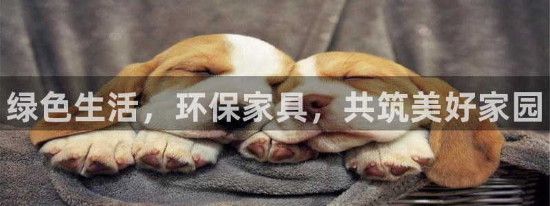 杏耀平台登陆测速：绿色生活，环保家具，共筑美好家园